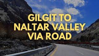 Gilgit To Naltar Valley Road Uncut Travel 2024