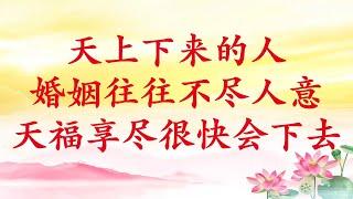 卢台长【天上下来的人，婚姻往往不尽人意；天福享尽很快会下去】