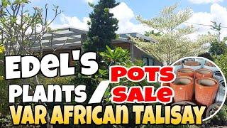 Available Tall Plants and Sosyal Pots dito sa Bulacan #garden #plants #enjoy #youtube