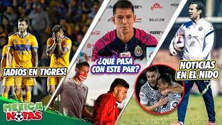 ADIÓS crack de Tigres|¡Molina CONFIESA POR QUÉ Vega y Antuna NO RINDEN en Chivas!|NOTICIAS en el Ame