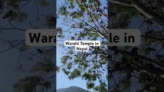 Nepal Hidden Gems | Warahi Temple | Pokhara | Phewa lake