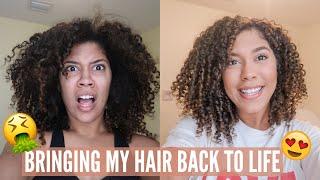 BRINGING MY CURLY HAIR BACK TO LIFE: TAKING MY HAIR FROM DRY AND BRITTLE TO MOISTURIZED AND DEFINED