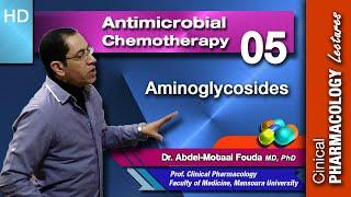 Antimicrobial Chemotherapy (Ar): Lecture 05: Aminoglycosides