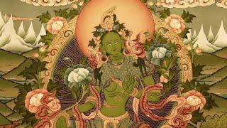 8 hours LIVE Healing Tara mantra chanting and meditation / Karma Pema Dorje (singing, throatsinging)