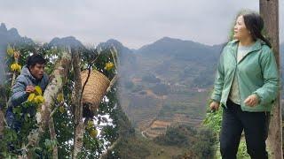 The woman found the trail leading out, ALU's father sold fruit and asked for news about his wife