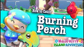 How to Catch Burning Perch in Hello Kitty Island Adventure | HKIA Fishing Guide