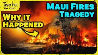 The Maui Fires - REAL Reason They Happened