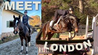 I bought a new horse!! | ride London with me