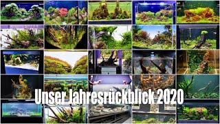 ScapersLounge 2020 - Unser Jahresrückblick