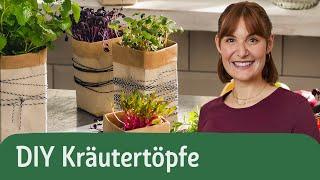 Kräutertopf DIY – so pflanzt du Küchenkräuter in Milchkartons | REWE Deine Küche