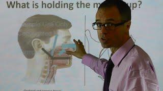 How the Tongue & Dental Biting Forces Hold the Upper Jaw/ Maxilla Up & Forward by Dr Mike Mew