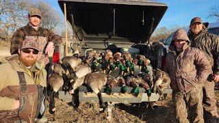 COLD Late Season Dry Field Duck Hunt (Limits)