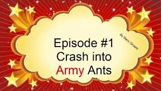 Drone Crash Army Ants!