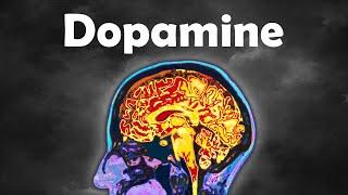 How Dopamine ACTUALLY Works