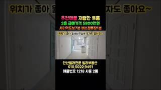 #안산빌라매매  위치좋고 저렴한 투룸 5800만원 사동대동서적 바로뒤 수인분당선 사리역 도보7분 시내버스52번  다니는곳.아담한투룸 차으시는분  위치좋아서 월세받으실분 추천해요