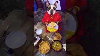dikha chuki  dikha chuki #funny