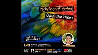 කුරුල්ලොත් එක්ක පියාඹන්න එන්න (Part 1) l Feathers