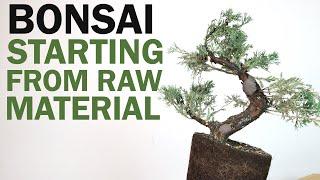 Creating a Bonsai from Raw Material