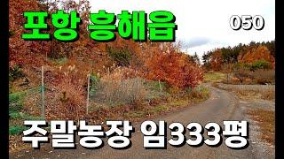 포항 흥해읍 곡강리 주말농장 임야 333평 | 050