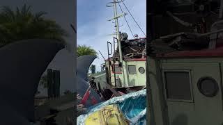JAWS | Universal Studios NEW Mega Movie Parade @UniversalOrlando #jaws