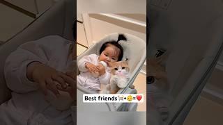 Best Friends Forever ️ #cats #catsandbabies #catslovers