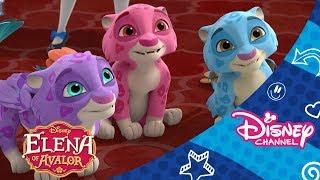 Elena of Avalor | Jaquin Fly Over | Disney Channel Africa