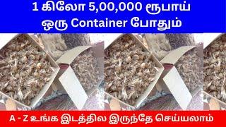 1 கிலோ 5,00,000 ரூபாய் ​ஒரு Container போதும் ​| Small Business Ideas | Tamil