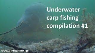 Underwater carp fishing compilation #1 by Perer Königs