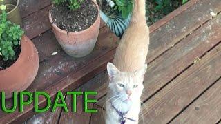 Check out my Garden :3 ~'O,..,o'~ Vlog #9