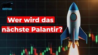 DIESE Aktien haben das Potenzial zur nächsten Palantir und DIESE Dinge brauchen Sie!