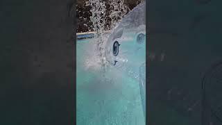 Pool Toy Whale Versus a Waterfall