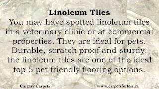 Top 5 Pet Friendly Flooring Options