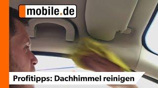 Flecken vom Dachhimmel abbekommen | mobile.de Profitipps