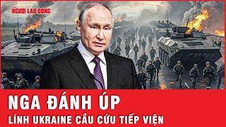 Hơn 800 lính đặc nhiệm Nga mở đường đánh úp vào Kursk, quân Ukraine cầu cứu tiếp viện | Tin thế giới