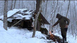 Survival Challenge:Foggy,Frozen,and Snowy Jungle-10°C|Sleeping by Snowy Rocks Without a Sleeping Bag