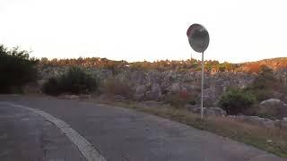 Stone Forest Scenic Area 1