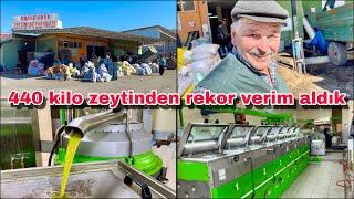 REKOR KIRDIK!!!  440 Kilo Zeytinden Bakın Kaç Kilo Zeytinyağı Çıktı ? Osmaniye Sumbas