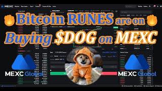 Bitcoin Runes are Running (Example of Buying Spot $DOG - Dog Go To The Moon on MEXC)