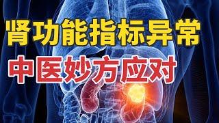 肾功能指标异常 中医妙方应对 20250302 扶正祛邪治肾病 | CCTV科教《健康之路》