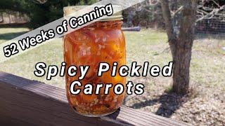 Spicy Pickled Carrots - 52 Weeks of Canning