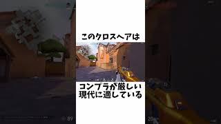 【迷ったらこれ！】最強クロスヘアに関する小ネタ、雑学【VALORANT/ヴァロラント】【HYORU/ネタ動画】#VALORANT #ヴァロラント #ValorantClips #hyoru