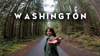 Being lost in Washington made me feel alive again