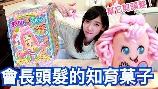 會長頭髮的知育菓子？！當個美髮設計師！| 安啾 (ゝ∀･) 