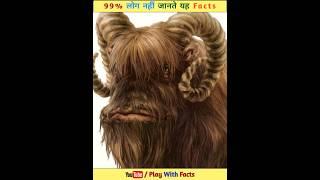 Amazing Facts #reels #shorts #shortsfeed #viral #trending #animals #shortvideo #facts #ytshorts #yt