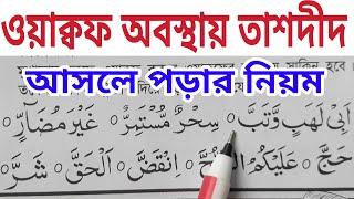 ওয়াক্বফ এর অবস্থায় তাশদীদ আসলে ওয়াক্বফ ধরার কয়েক টি নিয়ম শিখুন