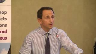 Practitioners' Workshop on Financial Markets and Institutions - Aldo Stanziale