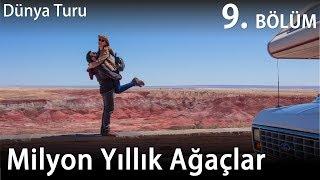 Route 66 Üzerindeki Tarihi Park | Amerika Karavan Hayatı | 9.Bölüm