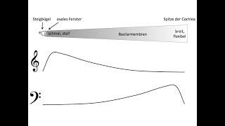 Tonhöhenwahrnehmung