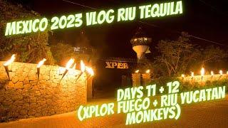 Riu Tequila Mexico Vlog Day 11 + 12 (Xplor Fuego + Riu Yucatan Monkeys)