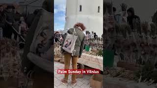 Palm Sunday in Vilnius, Lithuania #shorts #palmsunday #chojus #vilnius